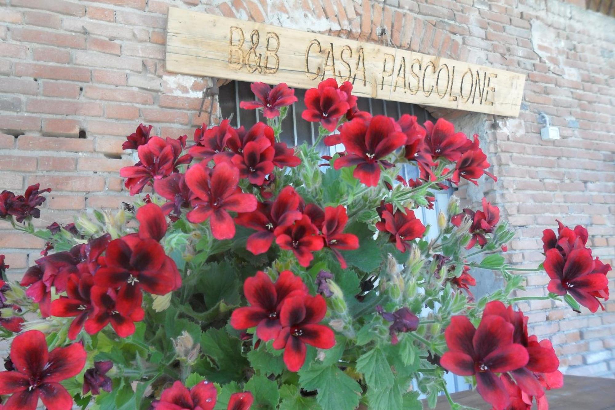 B&B Casa Pascolone Pegognaga Exterior photo